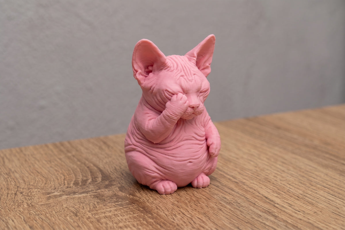 Sphynx Cat Facepalm - Naked Existential Crisis