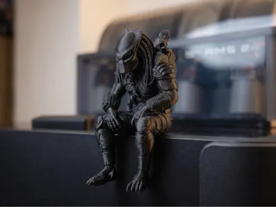083 Sitting Predator - Contemplative Shelf