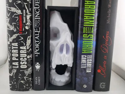 book nook broken skull