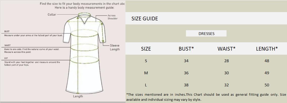 Women's Net Embroidered Drop Waist Dress