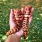 Very Cute Articulated Flexi Lion