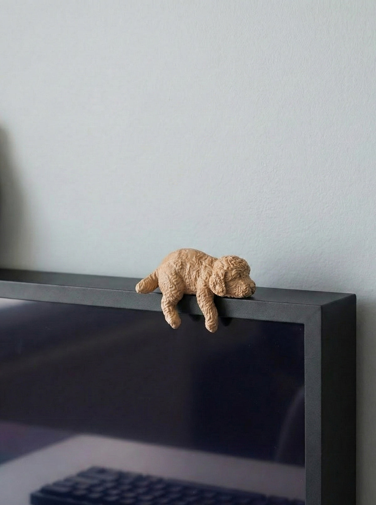 Sleepy Poodle Puppy Monitor
