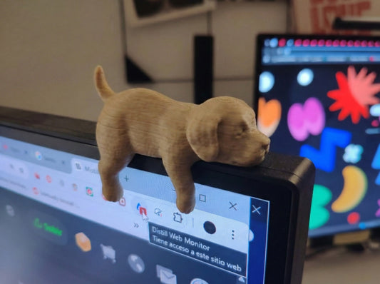 Man's Best Monitor Friend