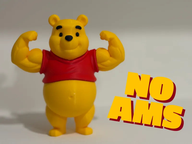 Winnie Pooh  Arm Day Only