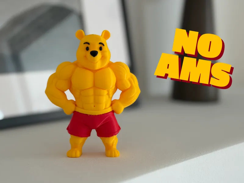Winnie Pooh  Gym Edition