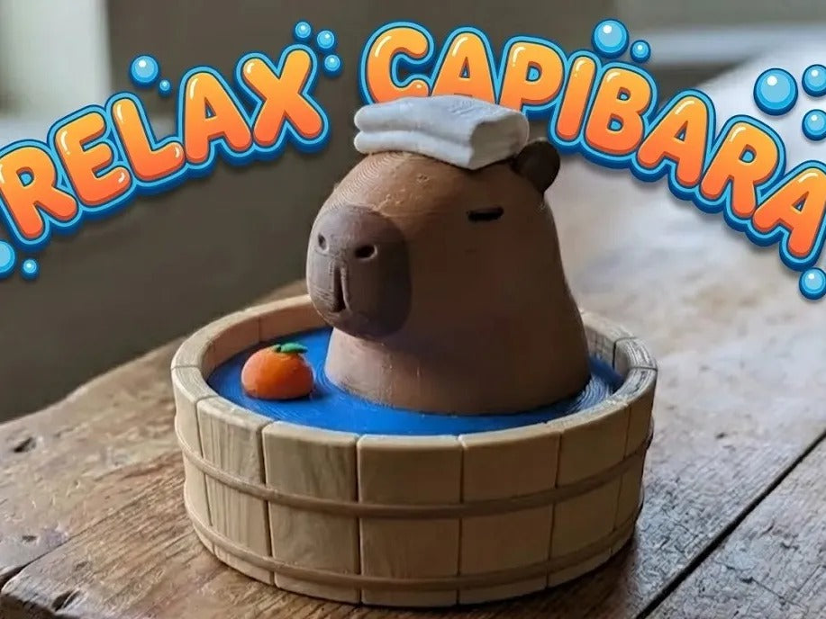Cute Capybara - Capibara. Peak