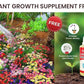 VARIETIES OF FLOWER SEEDS (PACK OF 100) AND FREE PLANT GROWTH SUPPLEMENT