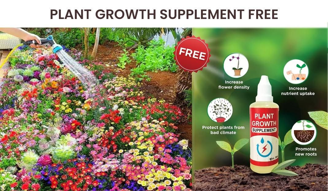 VARIETIES OF FLOWER SEEDS (PACK OF 100) AND FREE PLANT GROWTH SUPPLEMENT