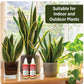 Plant Growth Enhancer Supplement