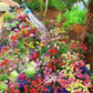 VARIETIES OF FLOWER SEEDS (PACK OF 100) AND FREE PLANT GROWTH SUPPLEMENT