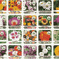 VARIETIES OF FLOWER SEEDS (PACK OF 100) AND FREE PLANT GROWTH SUPPLEMENT