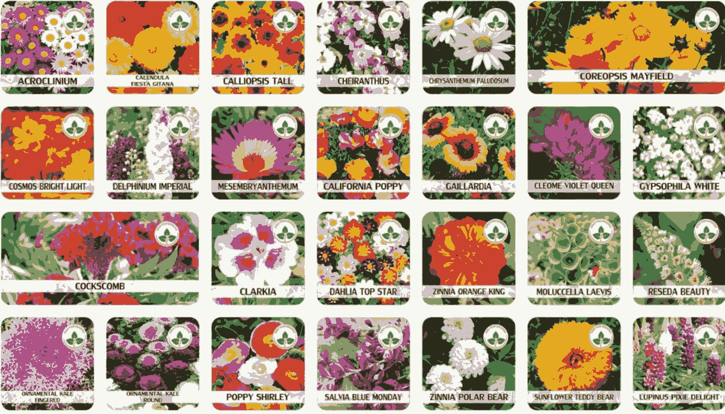 VARIETIES OF FLOWER SEEDS (PACK OF 100) AND FREE PLANT GROWTH SUPPLEMENT