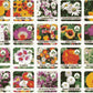 VARIETIES OF FLOWER SEEDS (PACK OF 100) AND FREE PLANT GROWTH SUPPLEMENT