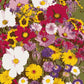 VARIETIES OF FLOWER SEEDS (PACK OF 100) AND FREE PLANT GROWTH SUPPLEMENT
