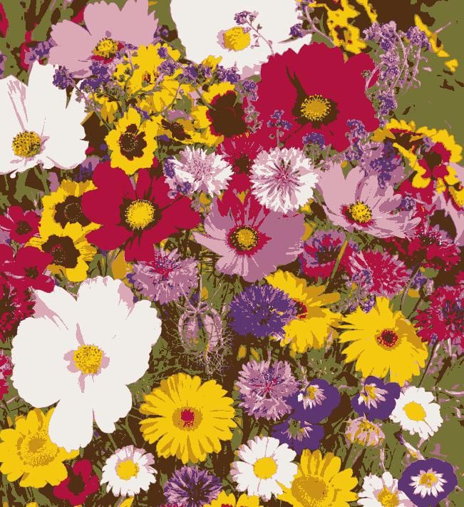 VARIETIES OF FLOWER SEEDS (PACK OF 100) AND FREE PLANT GROWTH SUPPLEMENT