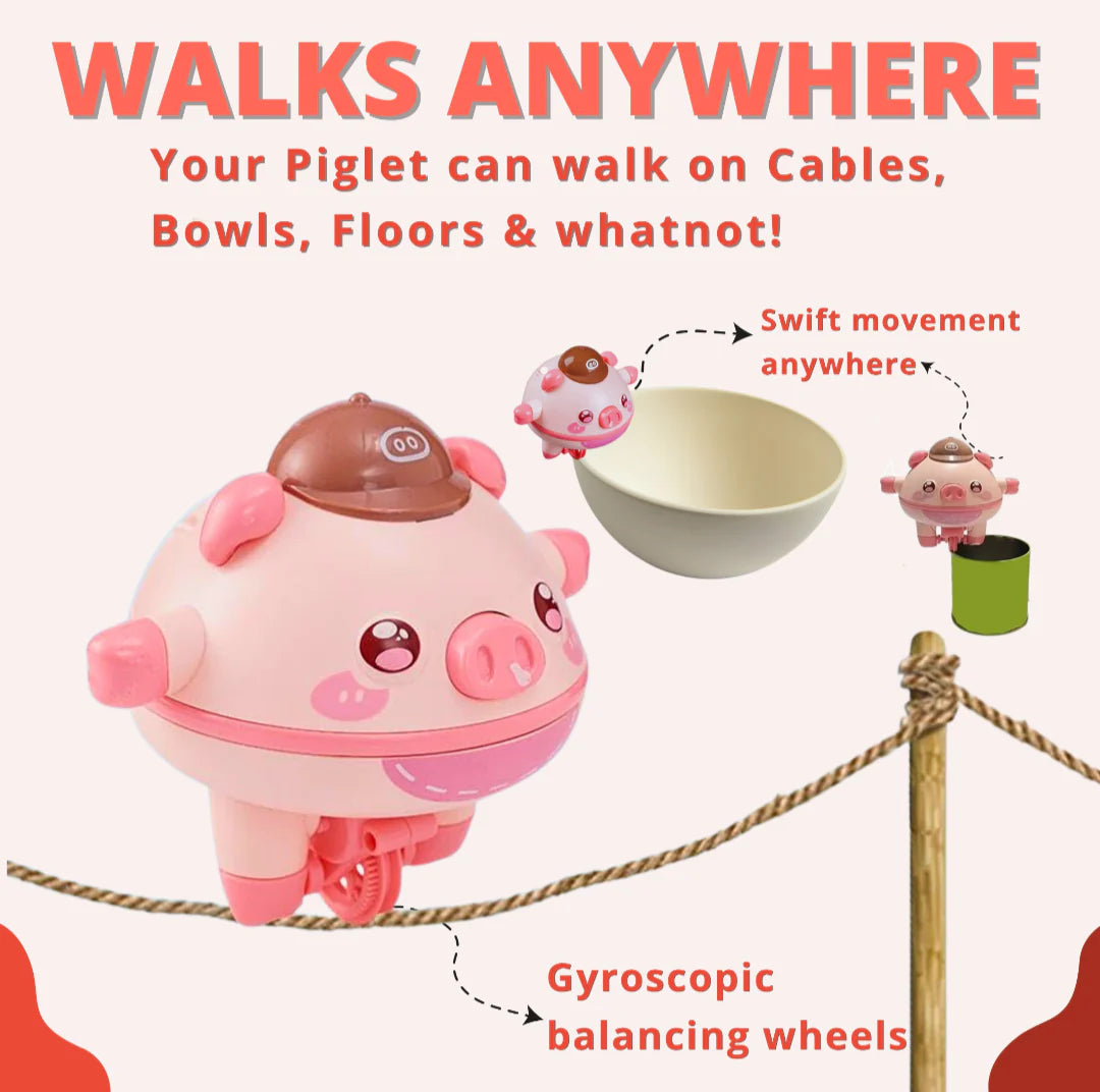 Piglet™ - The Self Balancing Piggy