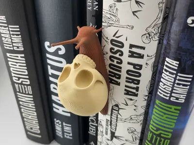Skull Snail Book Nook Booknook Shelf Decor