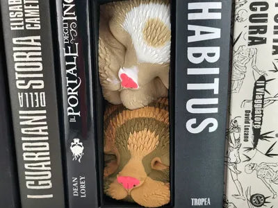 Sleeping Cat Friends Book Nook Shelf