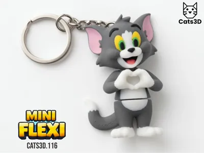 Tom Tom  Jerry - Mini Flexi Keychain